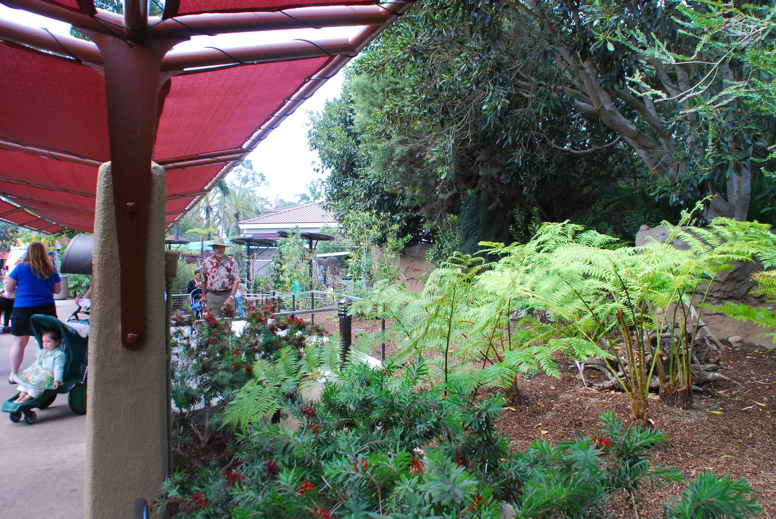 Australian Outback-Plantings to Queenalander