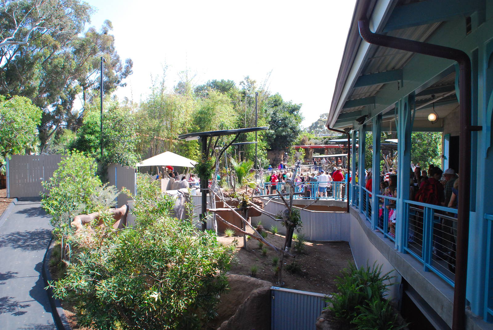 Australian Outback- Queenslander