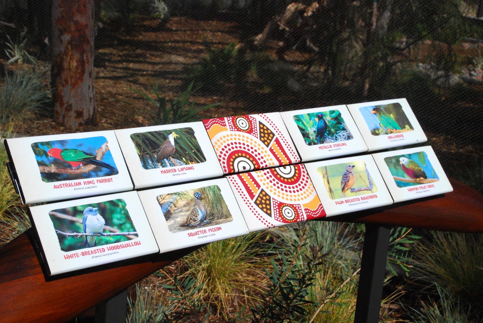 Australian Outback- Second Aviary Signage