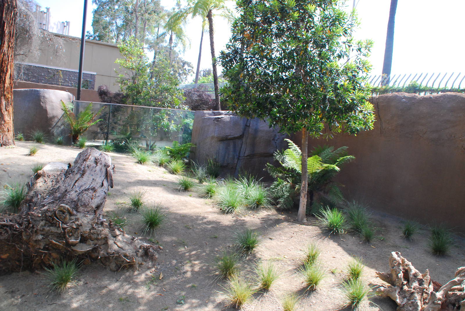 Australian Outback- Southern hairy-nosed wombat exhibit