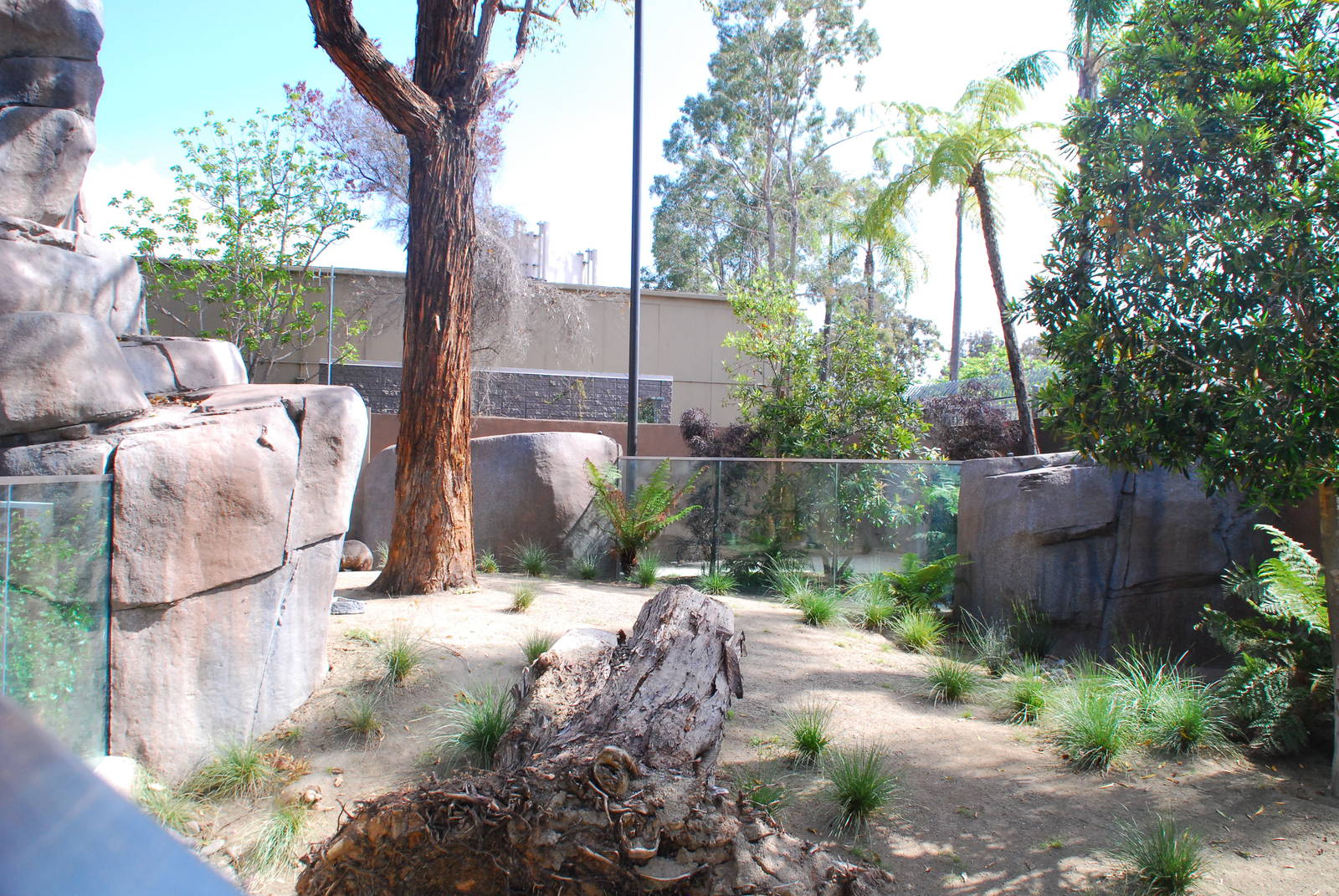 Australian Outback- Southern hairy-nosed wombat exhibit