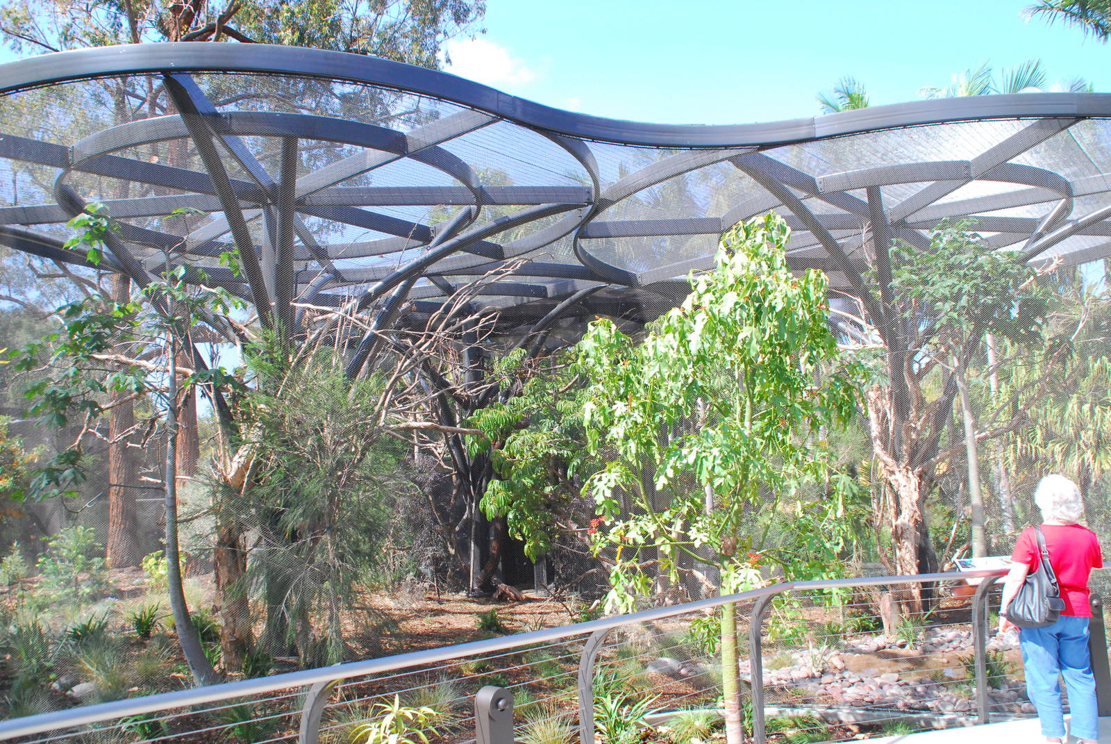 Australian Outback- Third aviary