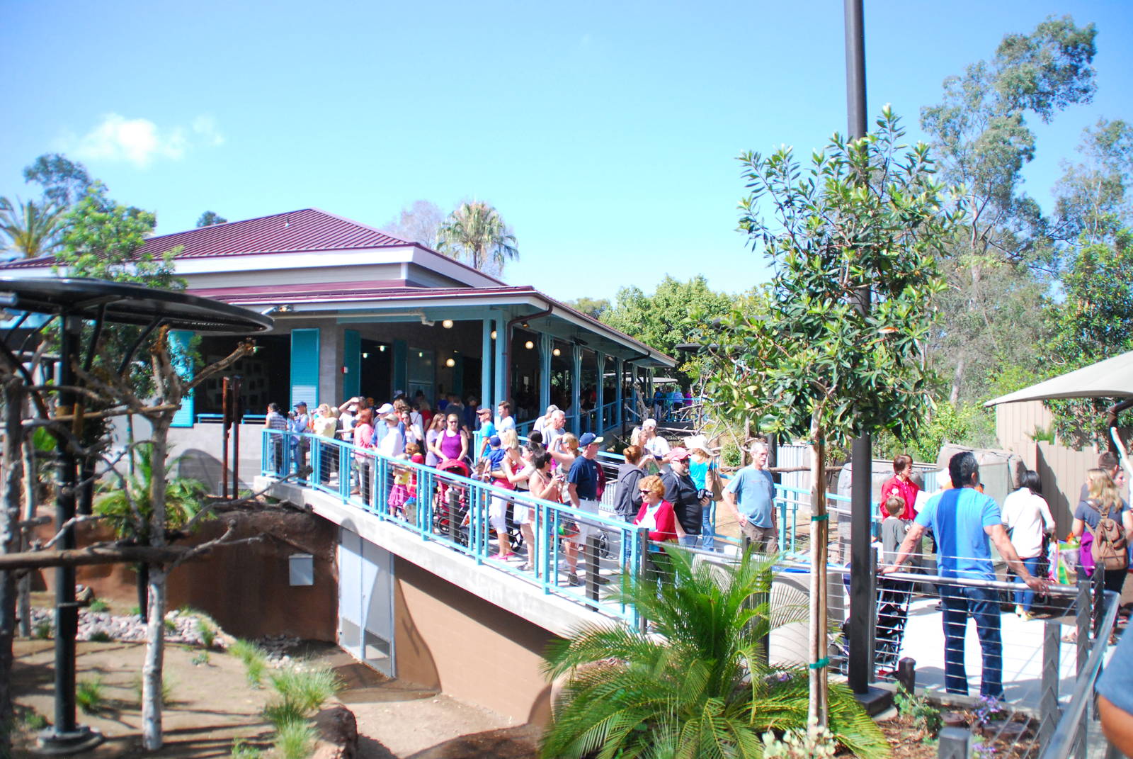 Australian Outback- Veranda