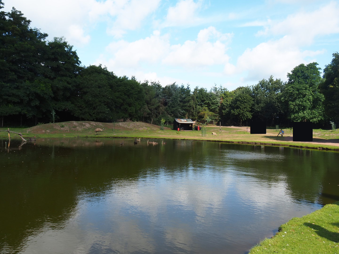 Australian Outback walk-through exhibit, 2019-08-11