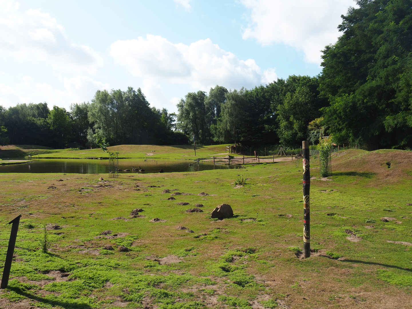 Australian Outback walk-through exhibit, 2019-08-11
