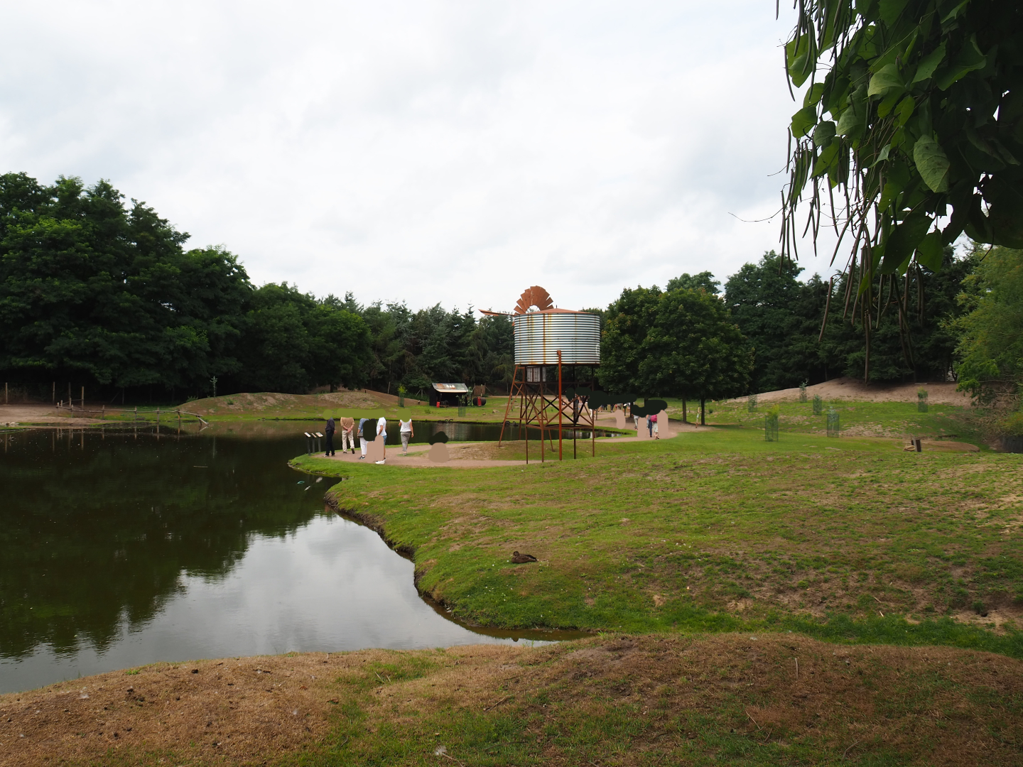 Australian Outback walk-through exhibit, 2019-08-11