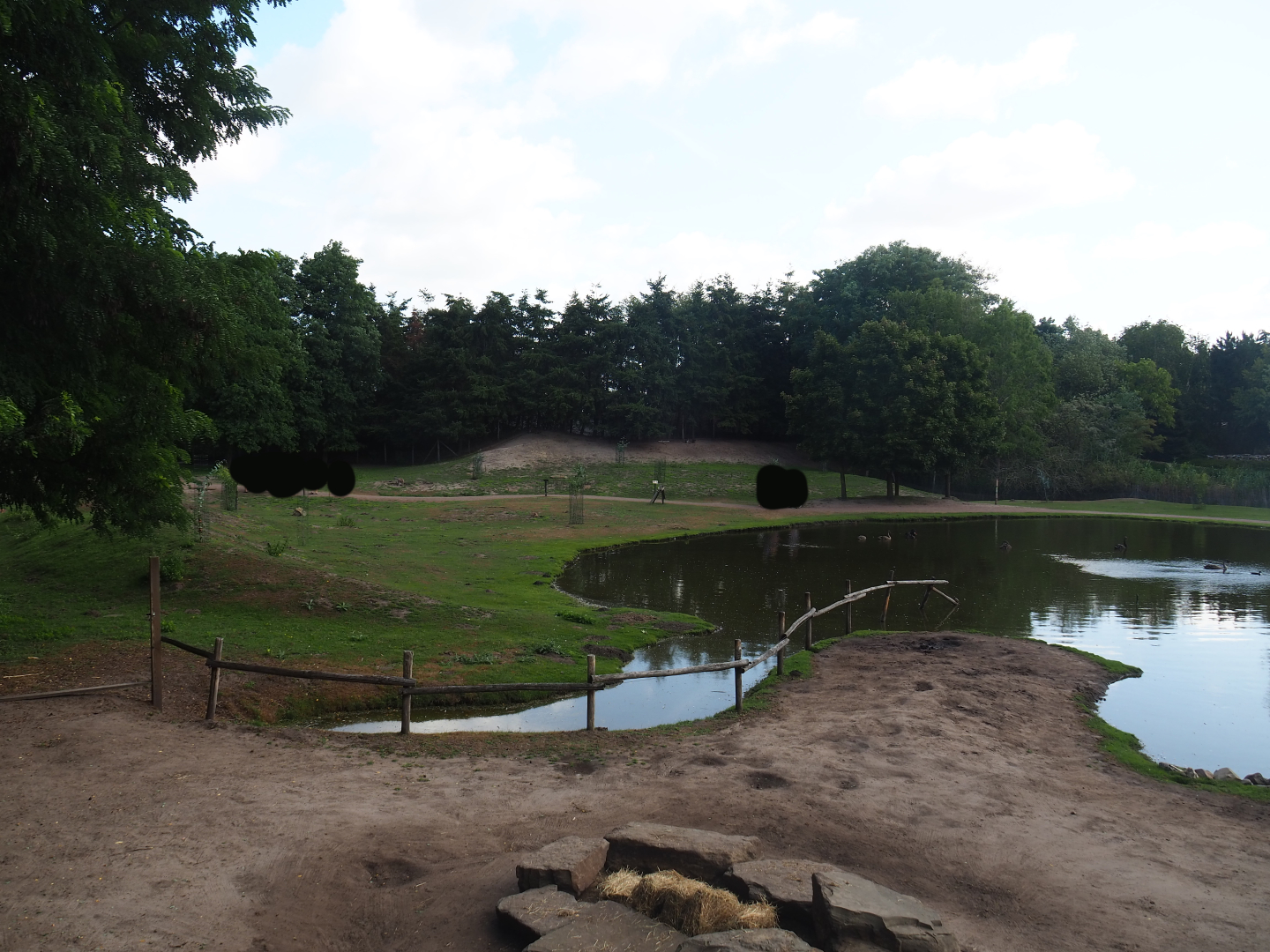 Australian Outback - Walk-through exhibit and dromedary camel paddock, 2019-08-11
