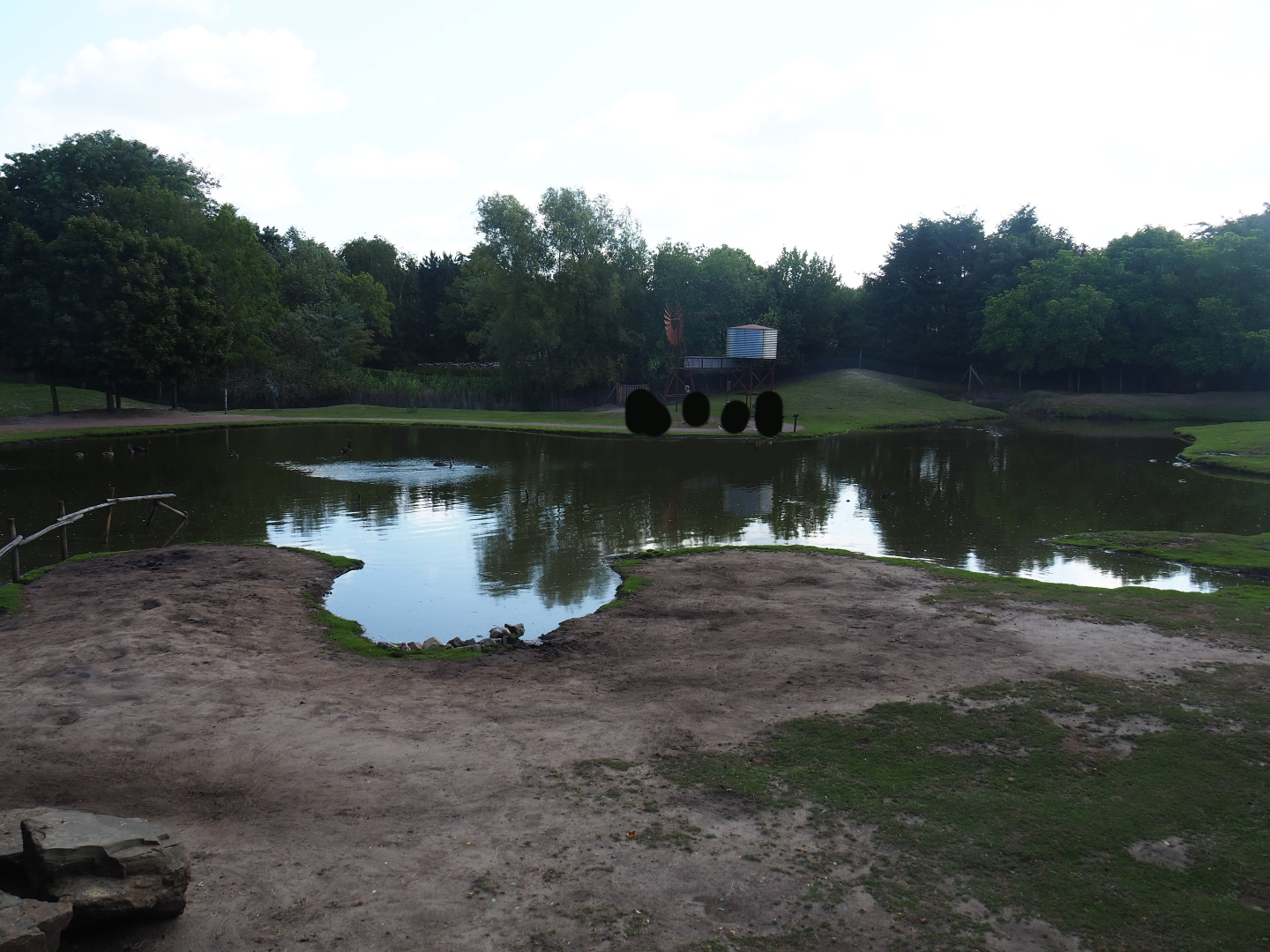 Australian Outback - Walk-through exhibit and dromedary camel paddock, 2019-08-11