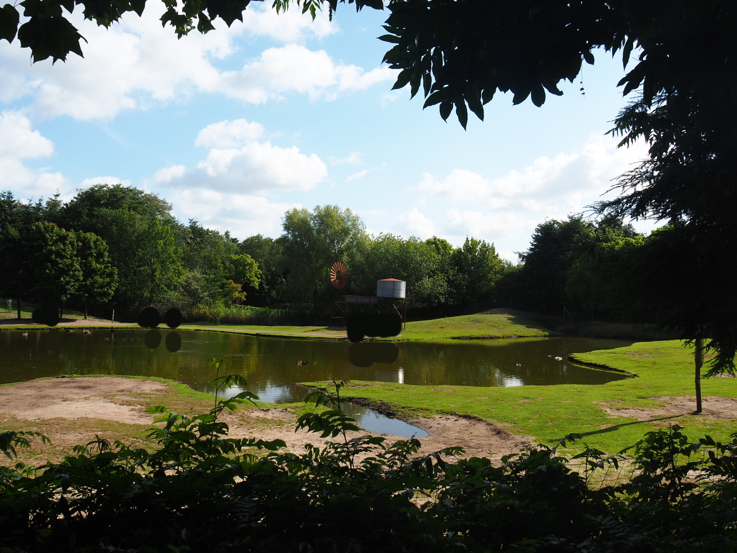 Australian Outback - Walk-through exhibit and dromedary camel paddock, 2019-08-11
