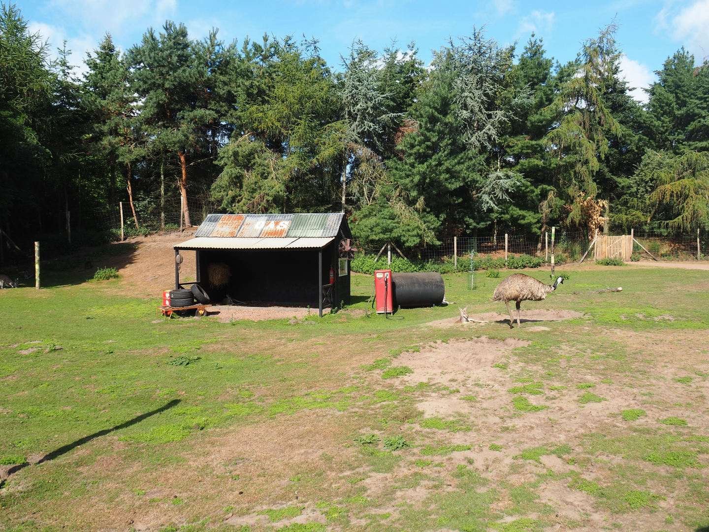 Australian Outback walk-through exhibit - Outback gas station theming, 2019-08-11