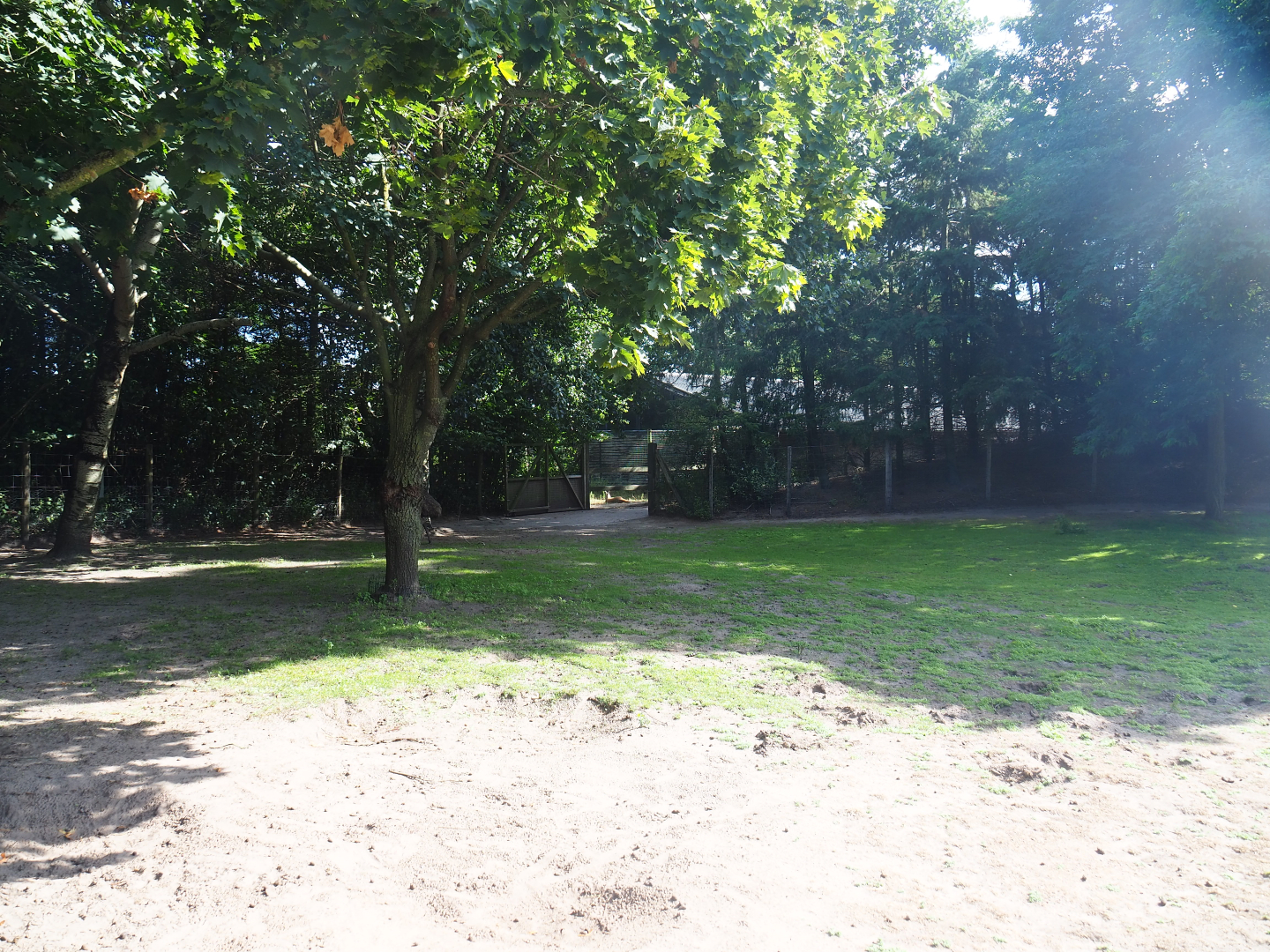 Australian Outback walk-through exhibit - Zone near holding areas, 2019-08-11