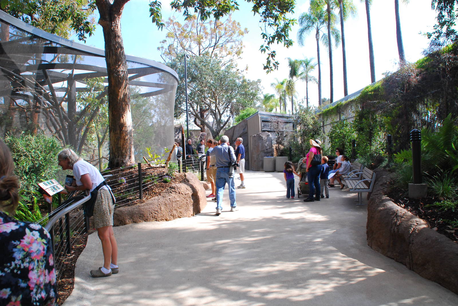Australian Outback- Walkway
