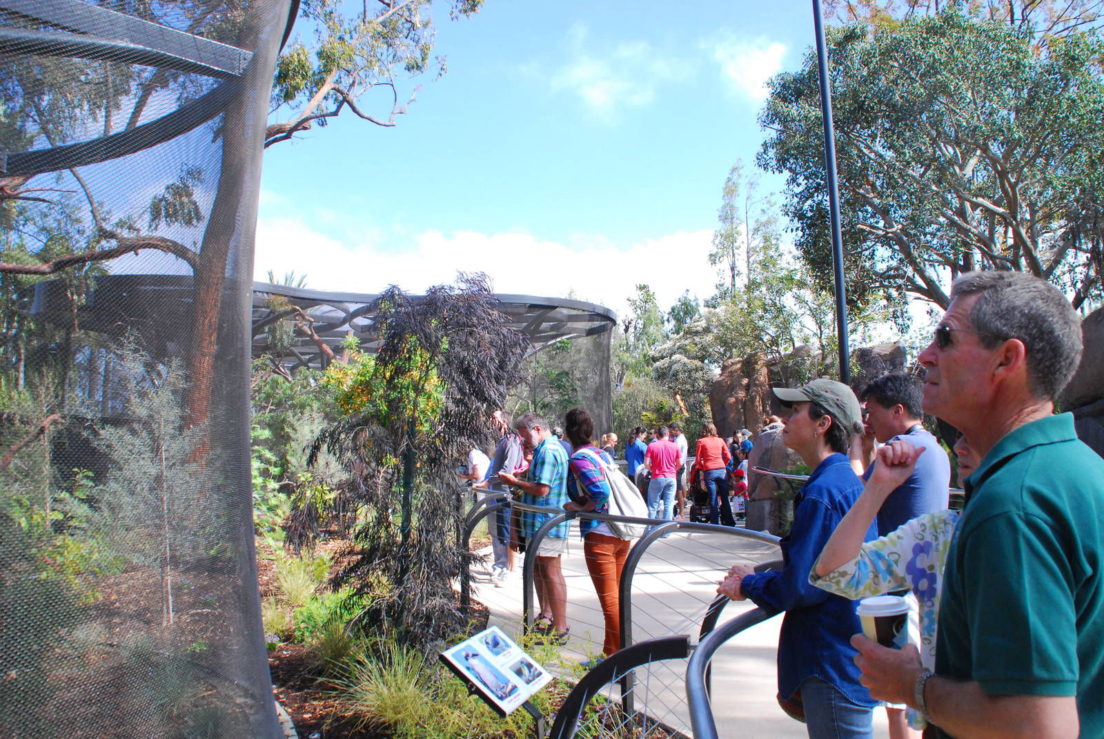 Australian Outback- Walkway