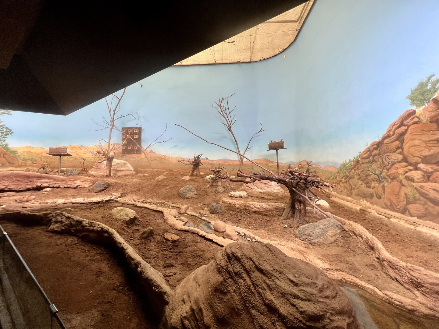 Australian Outback with Gouldian Finches.