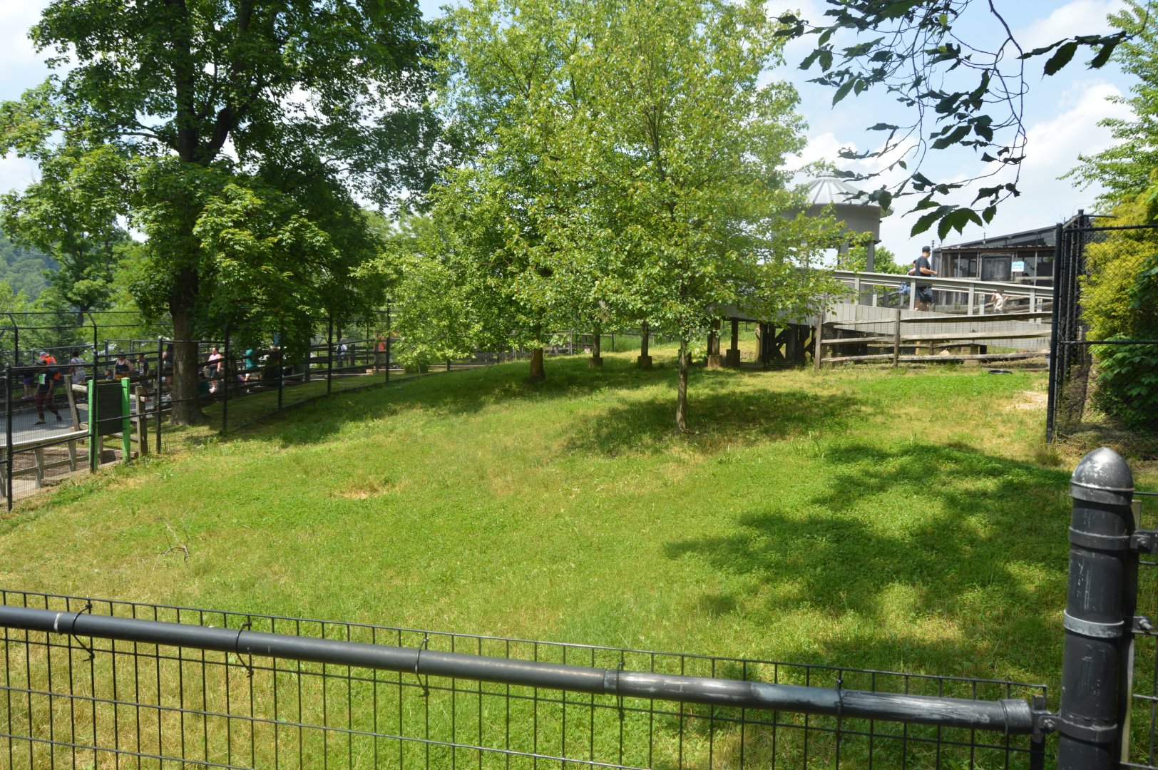 Australian Outbreak - Kangaroo and Wallaby Exhibit