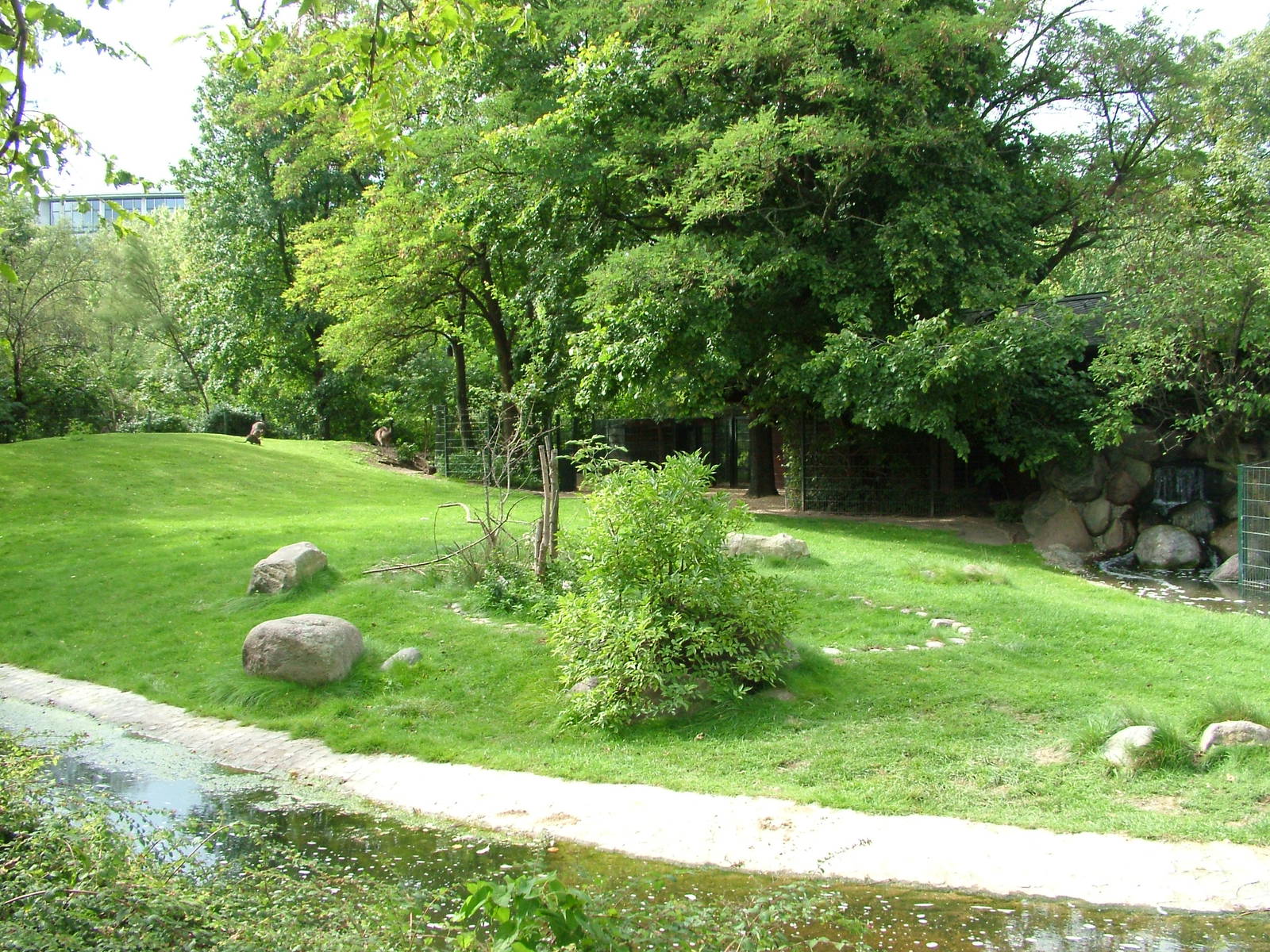 Australian Paddock at Berlin Zoo, 31/08/11