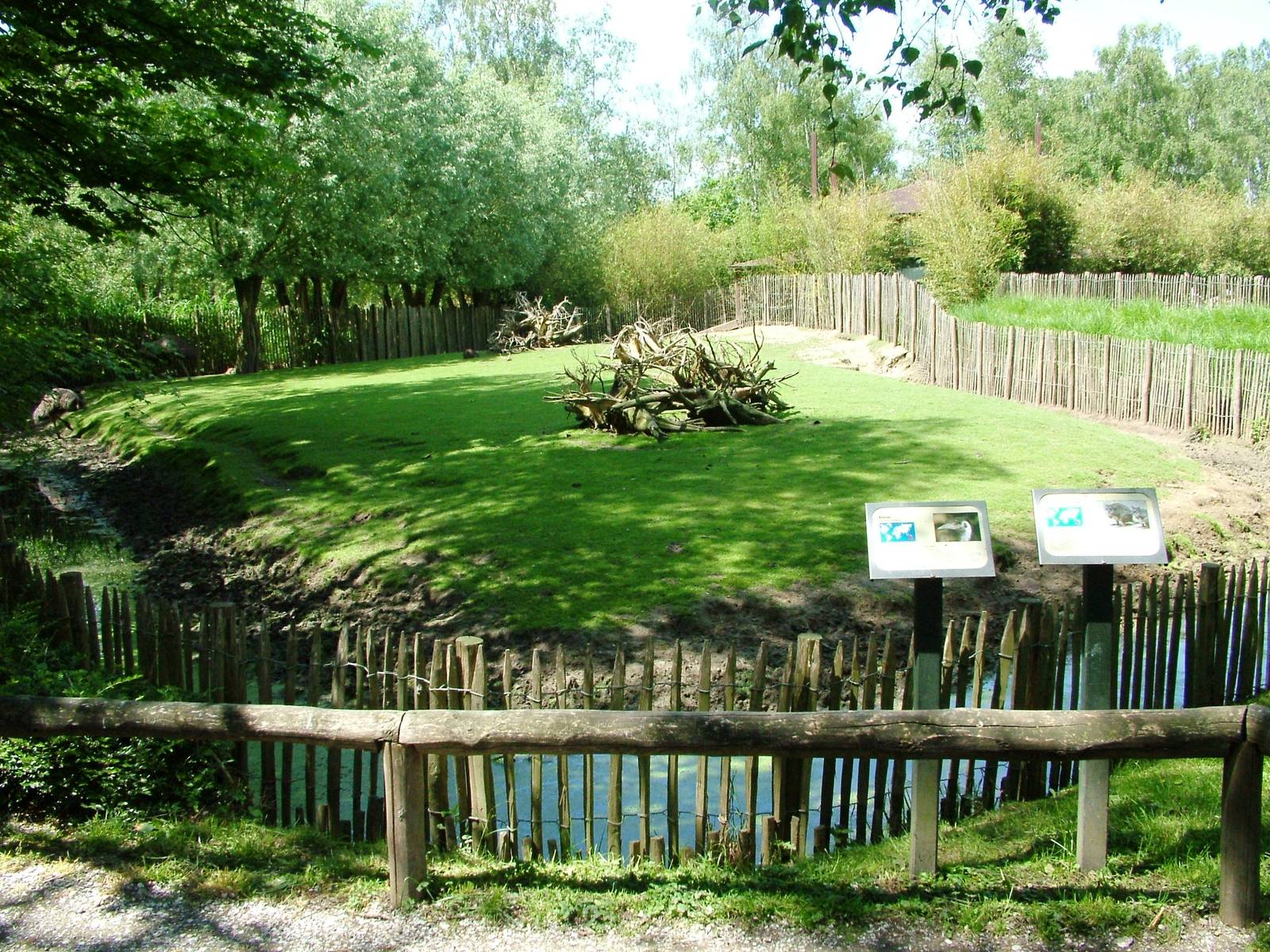 Australian Paddock at Best, 02/06/12