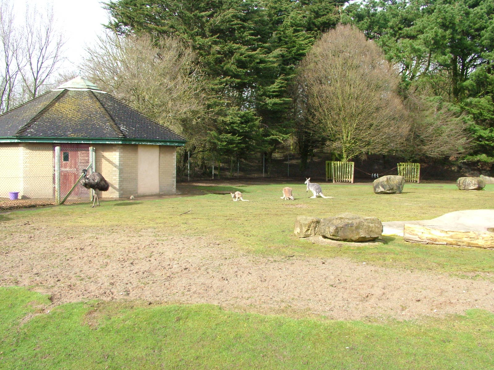 Australian paddock at Blackpool 26/03/10