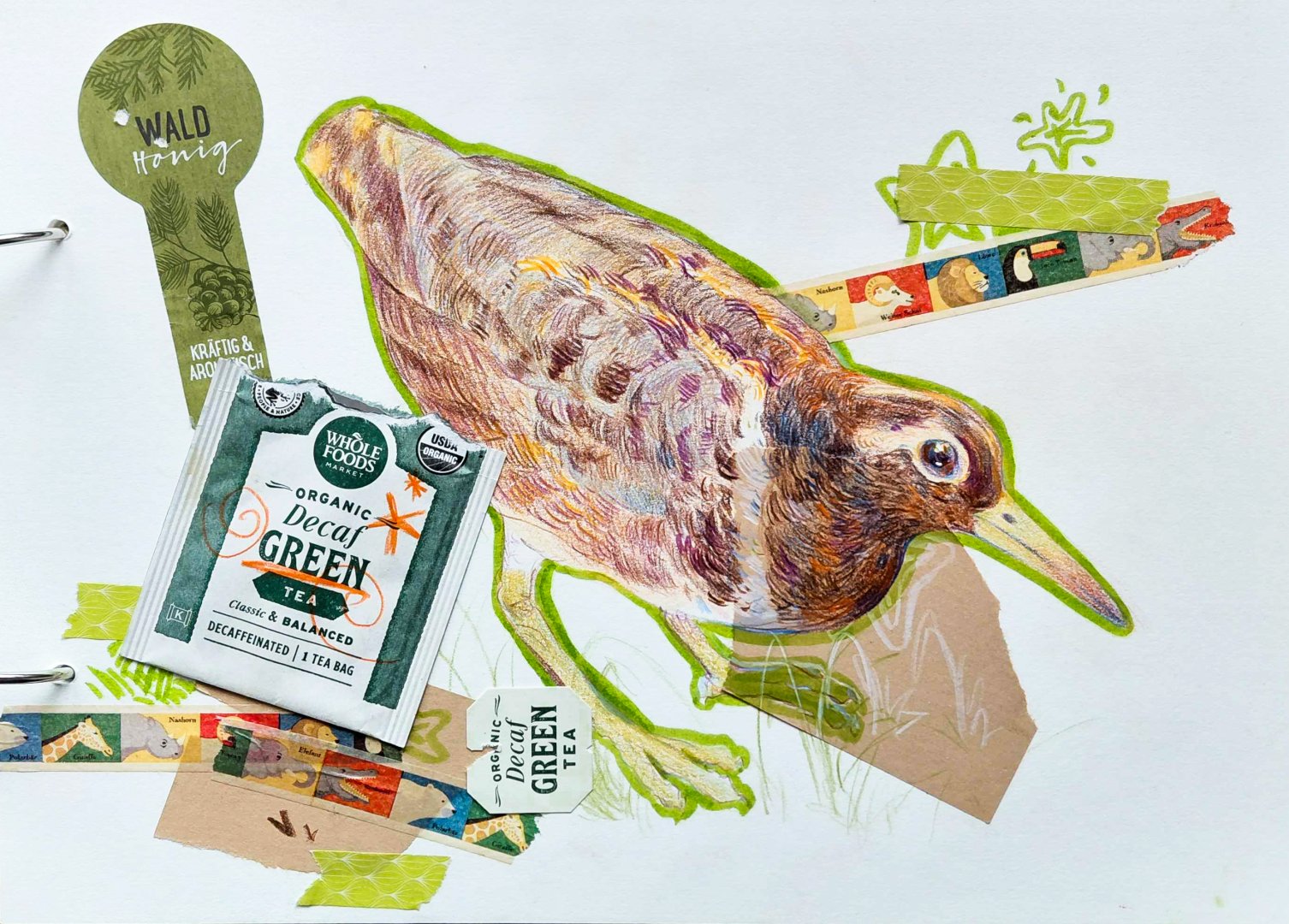 Australian painted-snipe