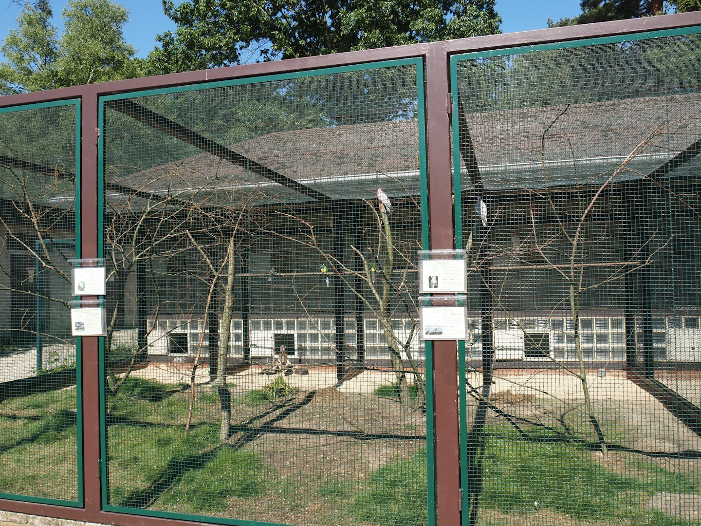 Australian parrot and Bush stone-curlew aviary, 2024-05-23