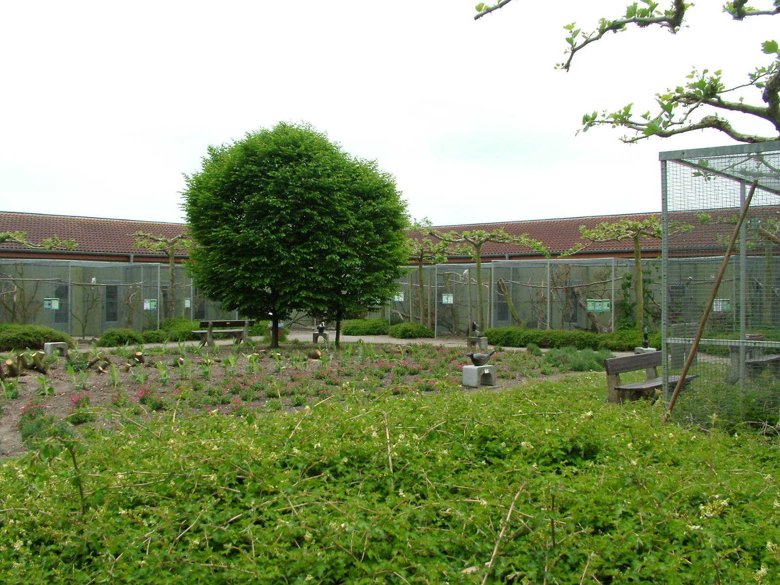 Australian Parrot aviaries at Plantaria 14/05/09