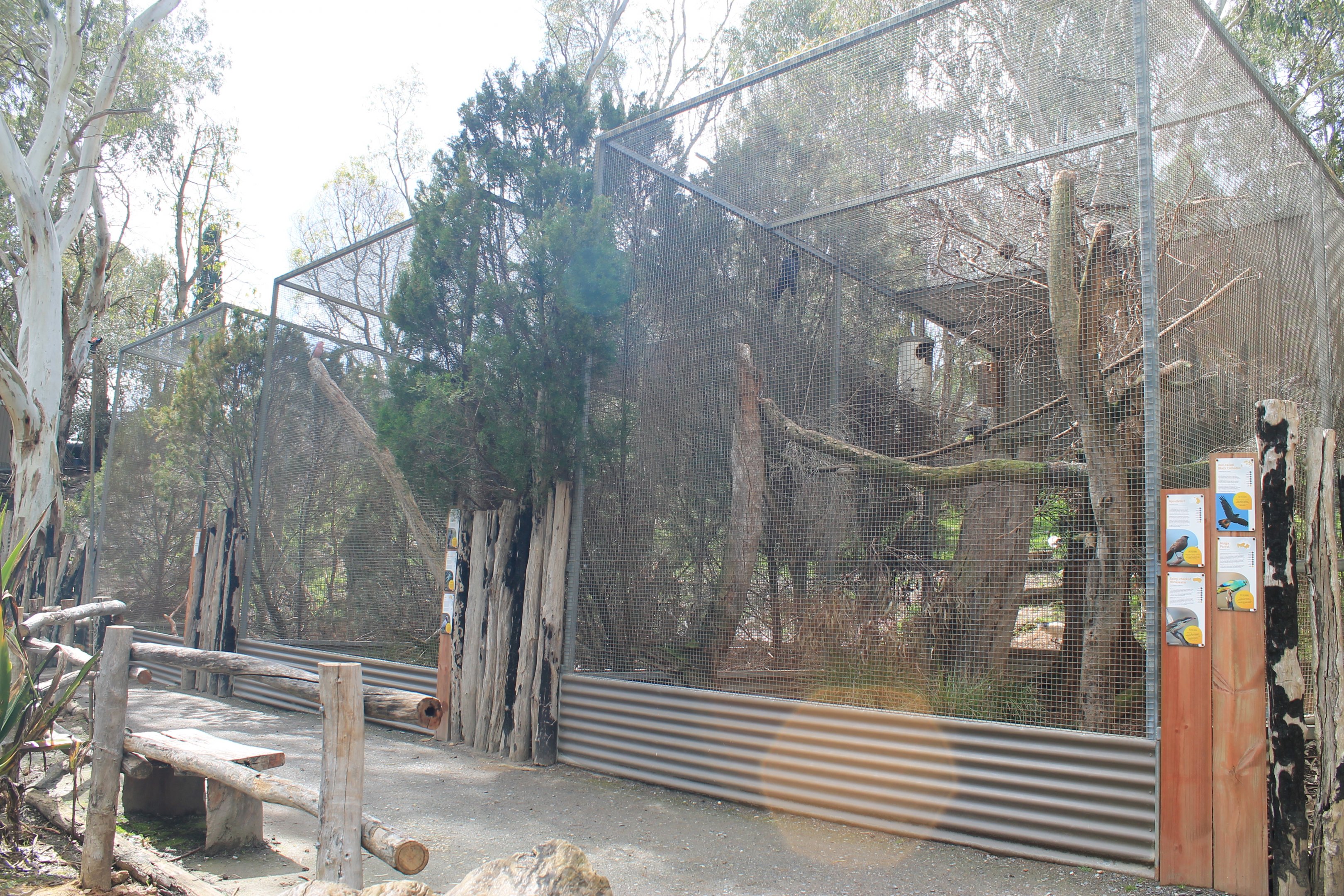 Australian parrot aviaries