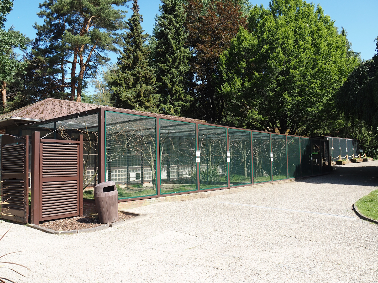 Australian parrot aviary block, 2024-05-23