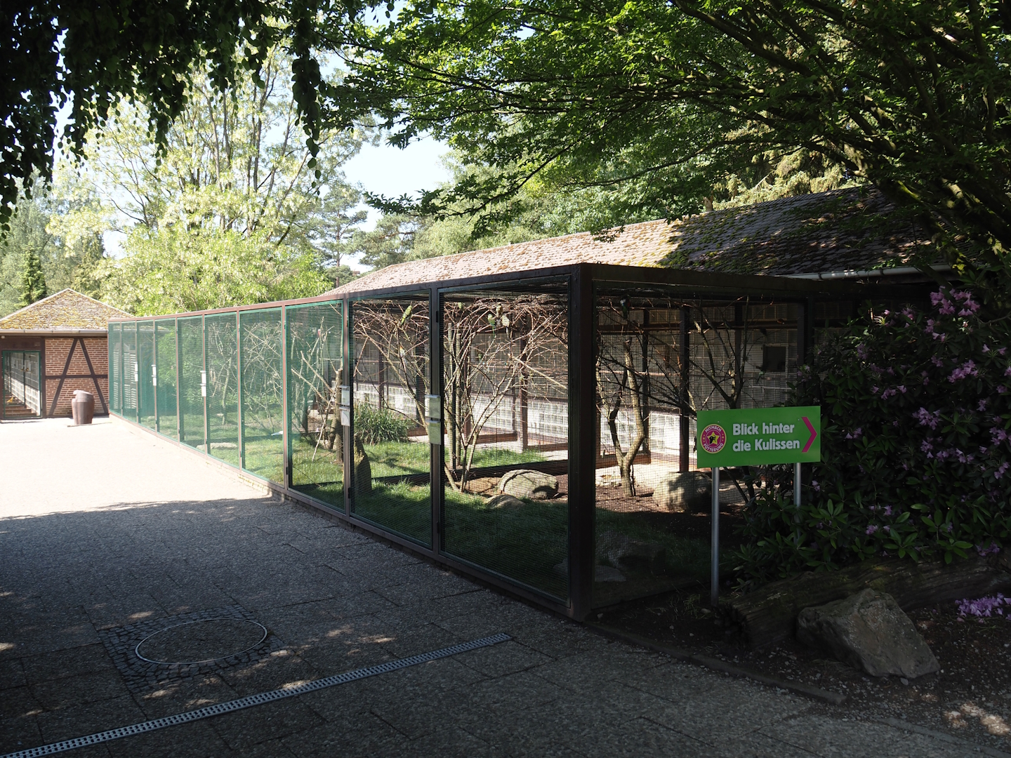 Australian parrot aviary block, 2024-05-23