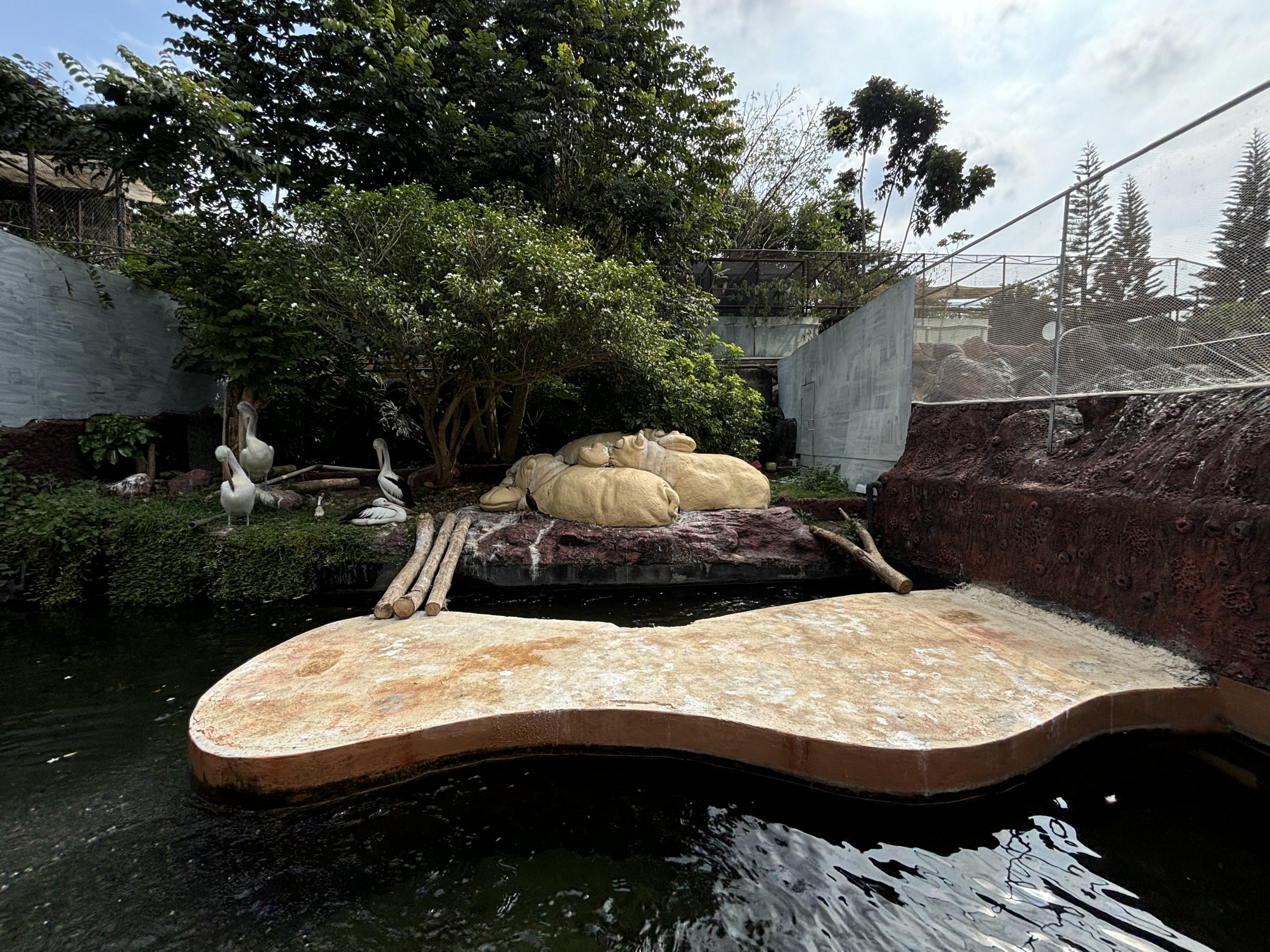 Australian Pelican Exhibit + Hippo Statues
