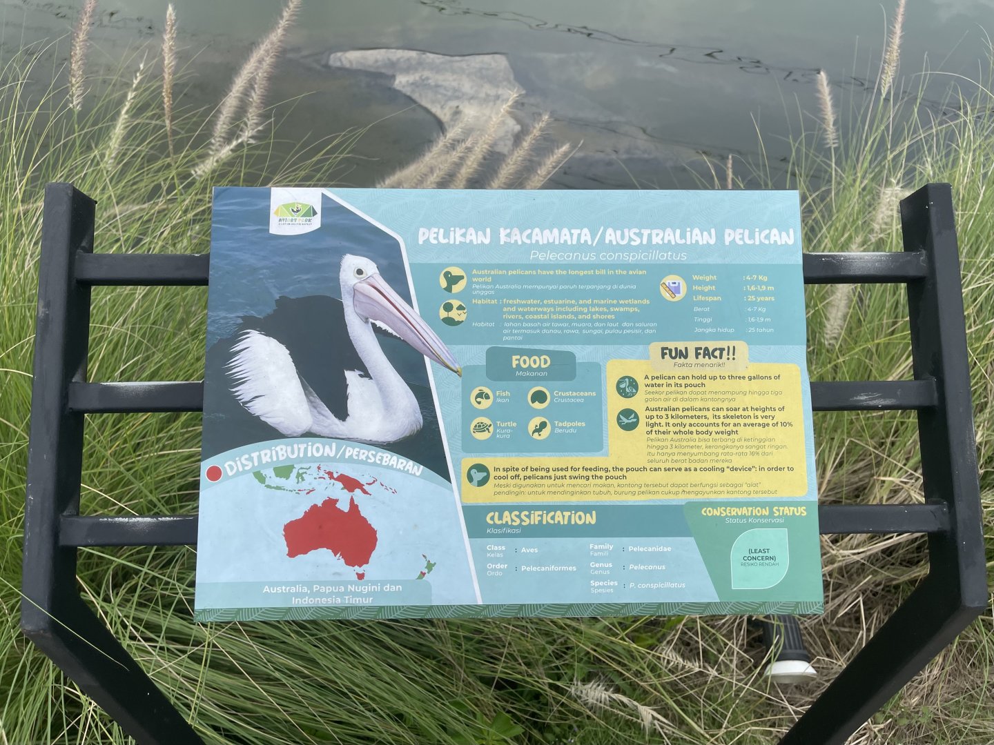 australian pelican signage - aviary park