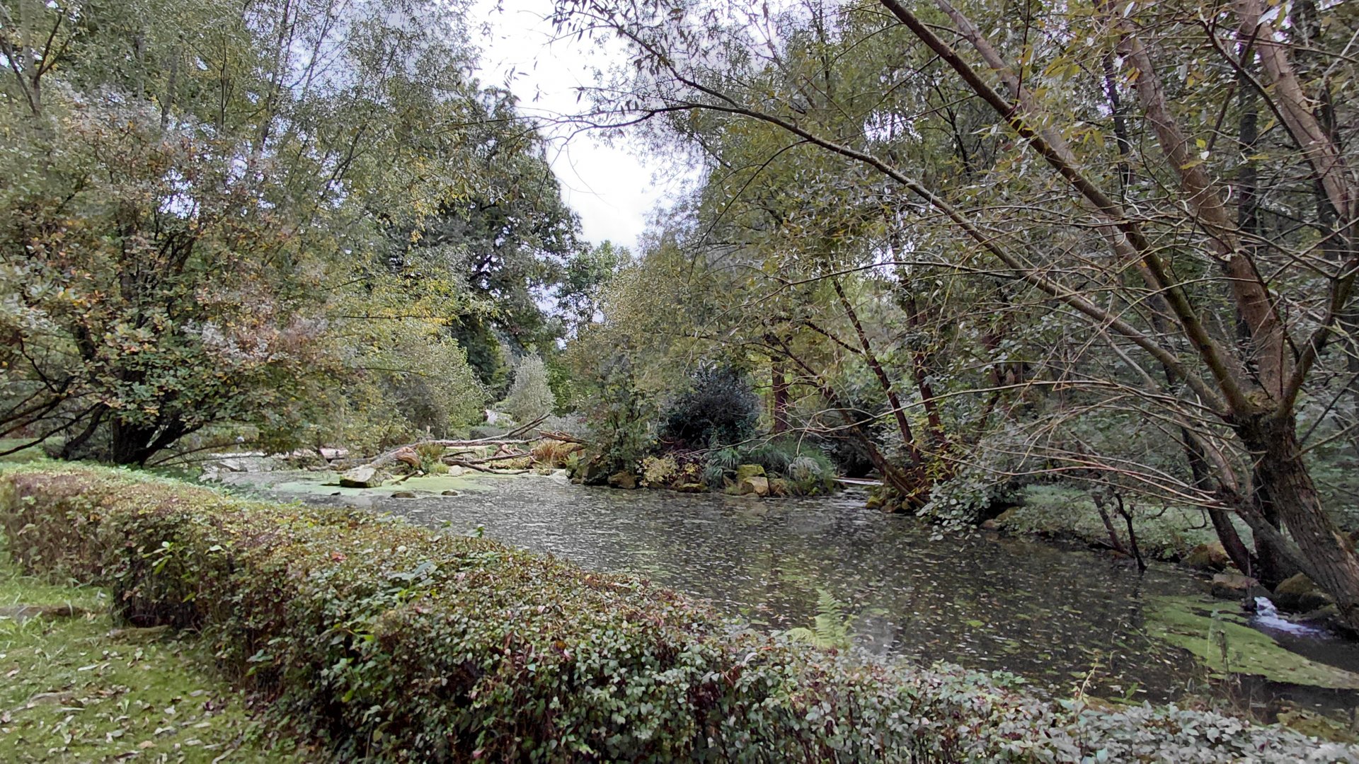 Australian pelican walkthrough exhibit