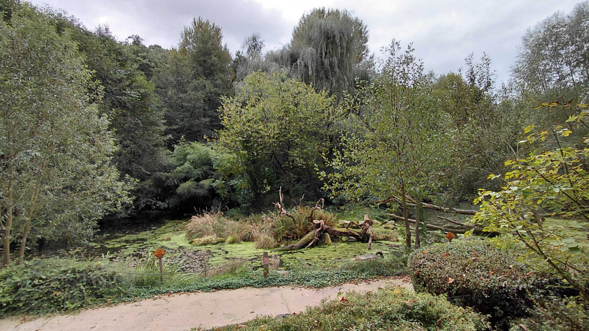 Australian pelican walkthrough exhibit