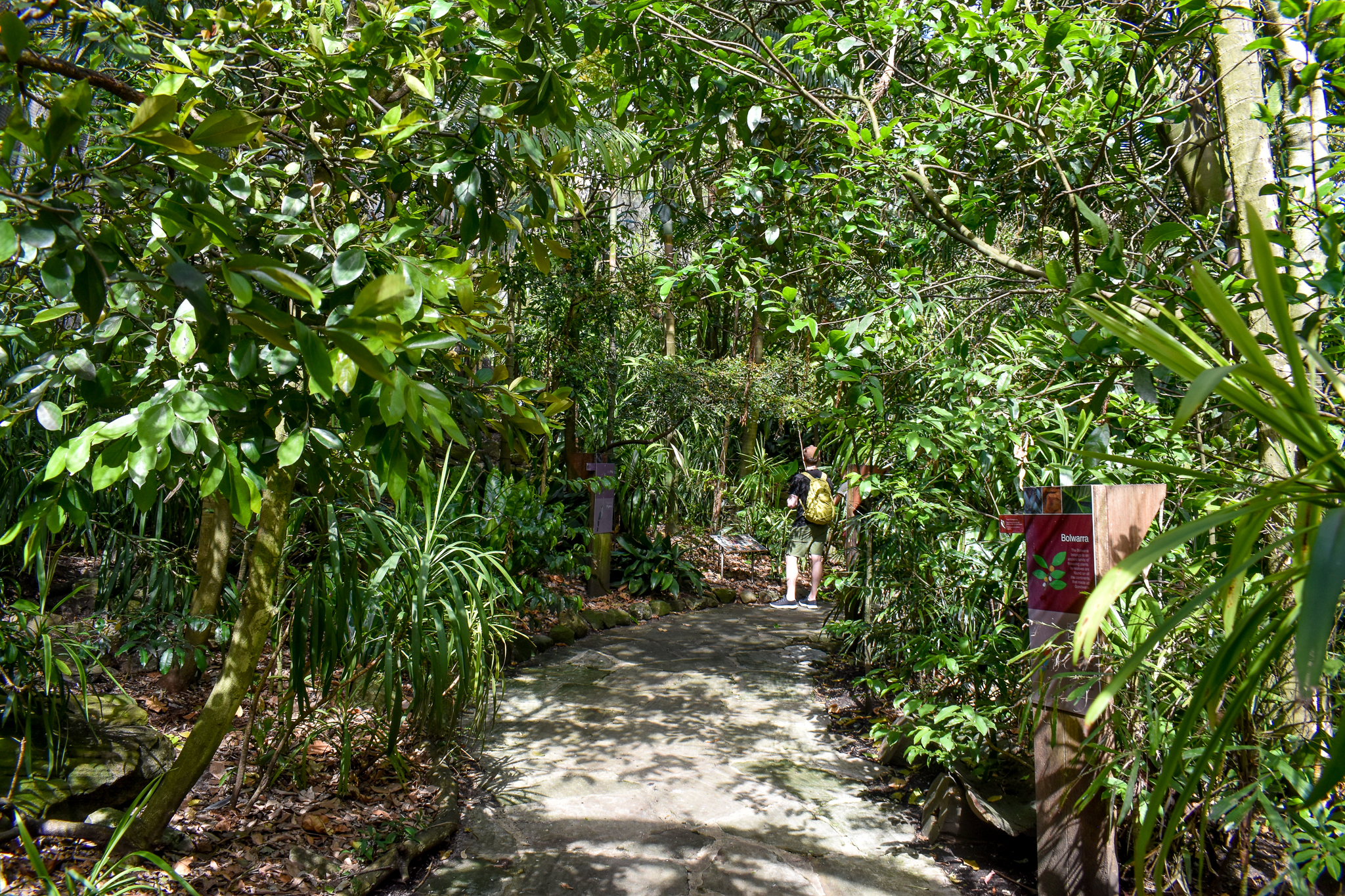Australian Rainforest Aviary - interior