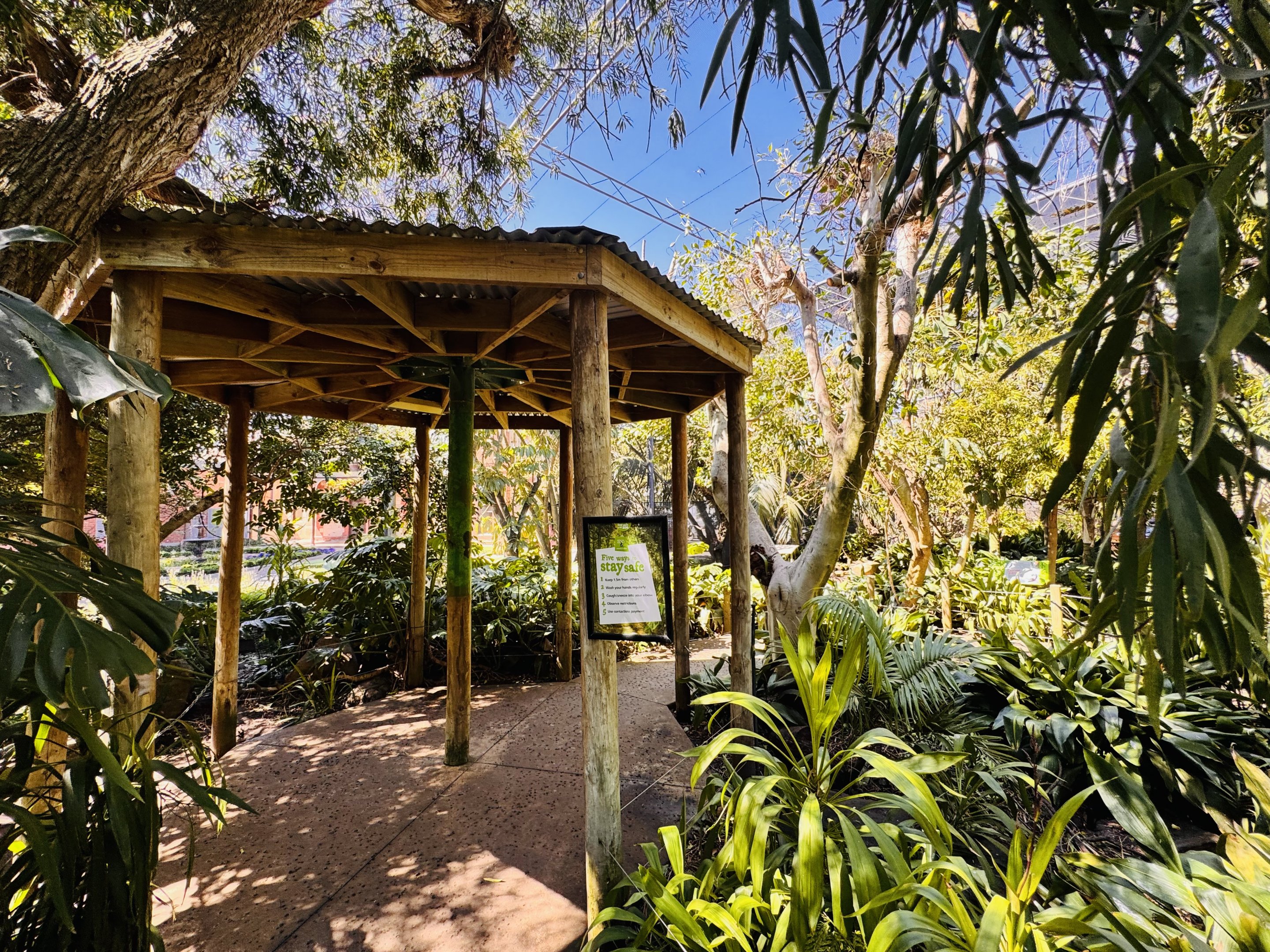 Australian rainforest aviary
