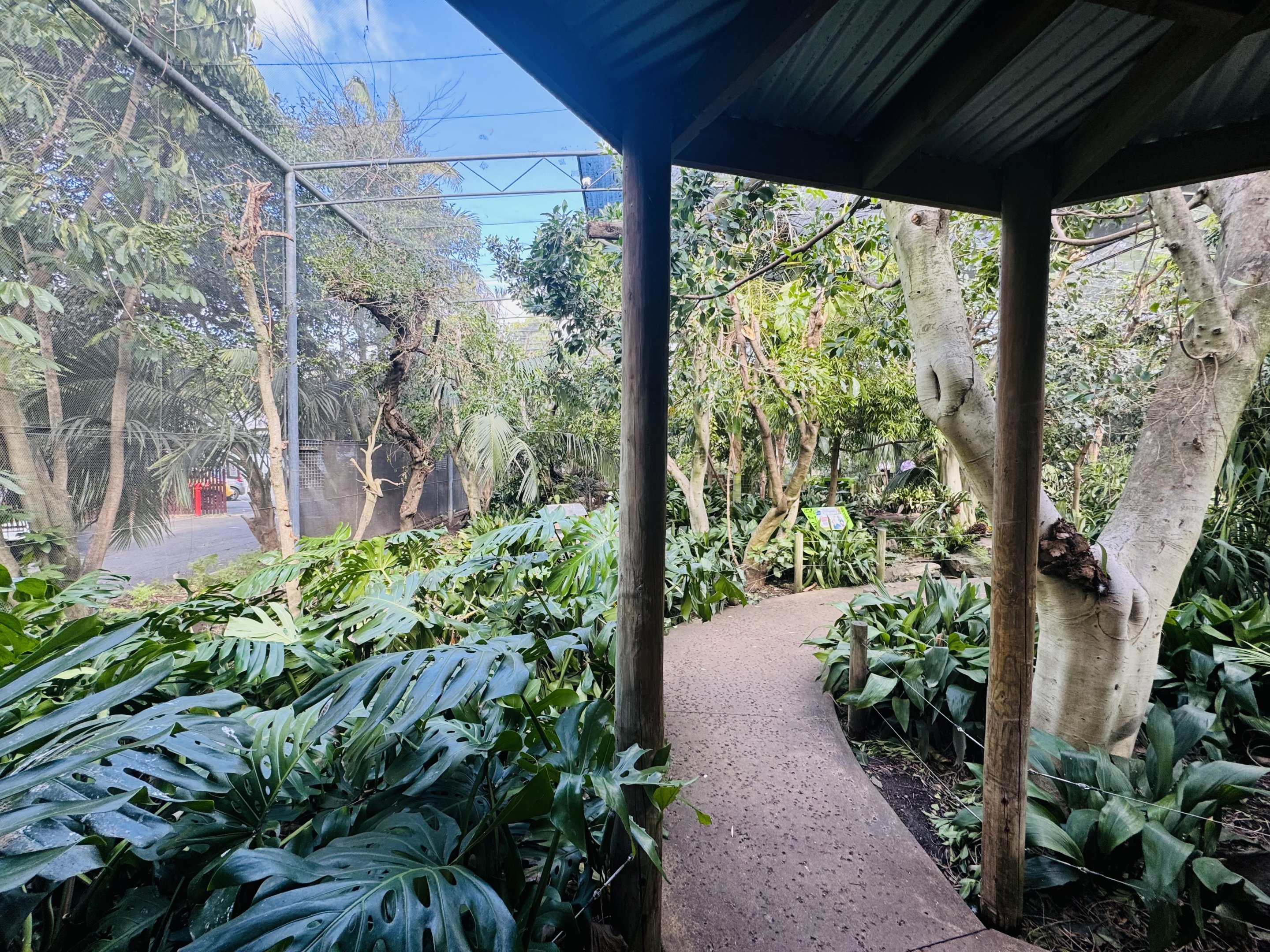 Australian rainforest aviary