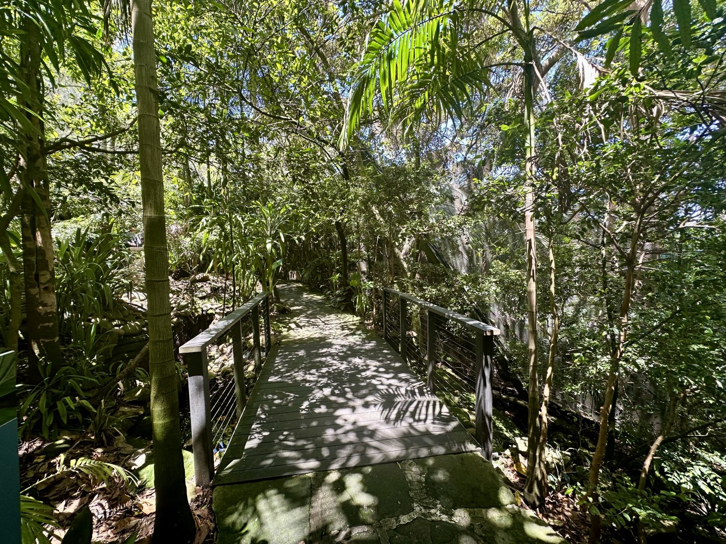 Australian Rainforest Aviary