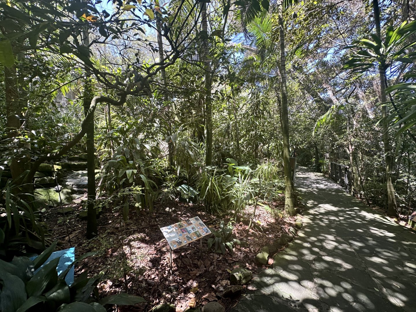 Australian Rainforest Aviary