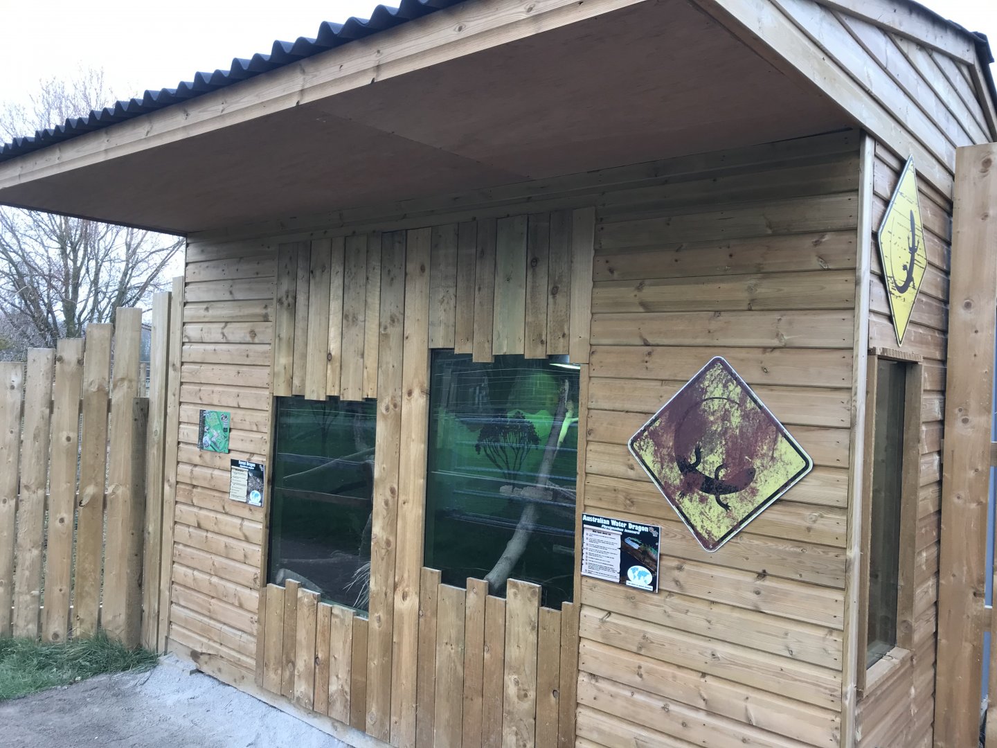 Australian reptiles exhibit 241118