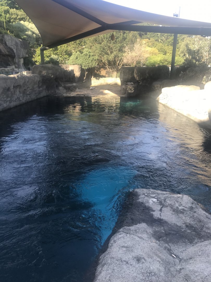 Australian Sea Lion enclosure