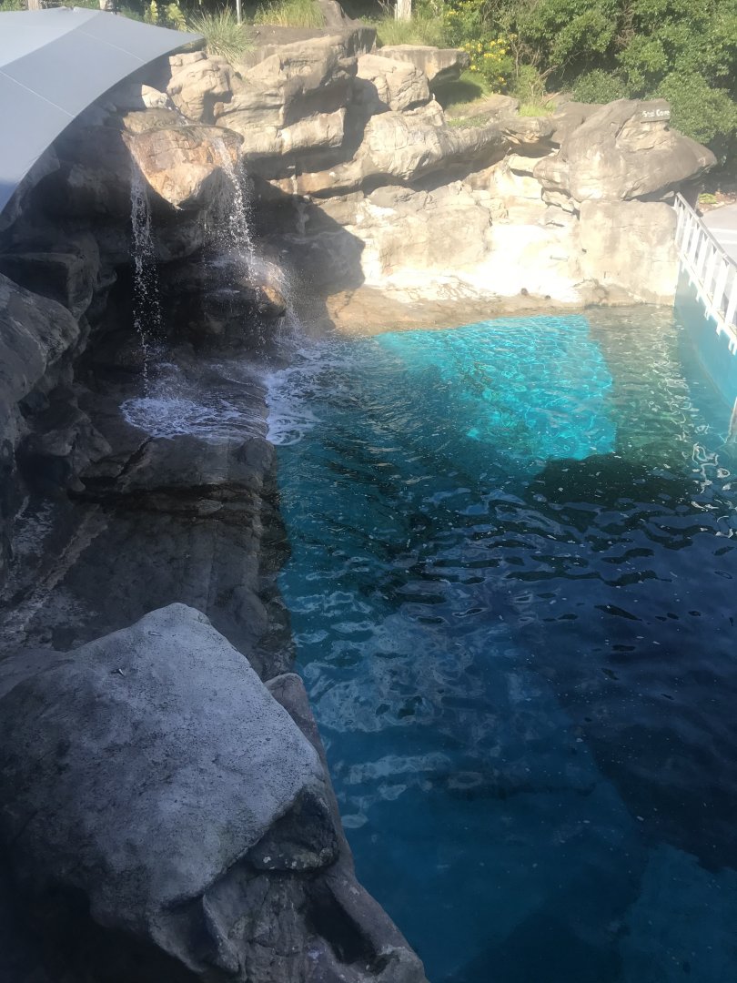 Australian Sea Lion Enclosure