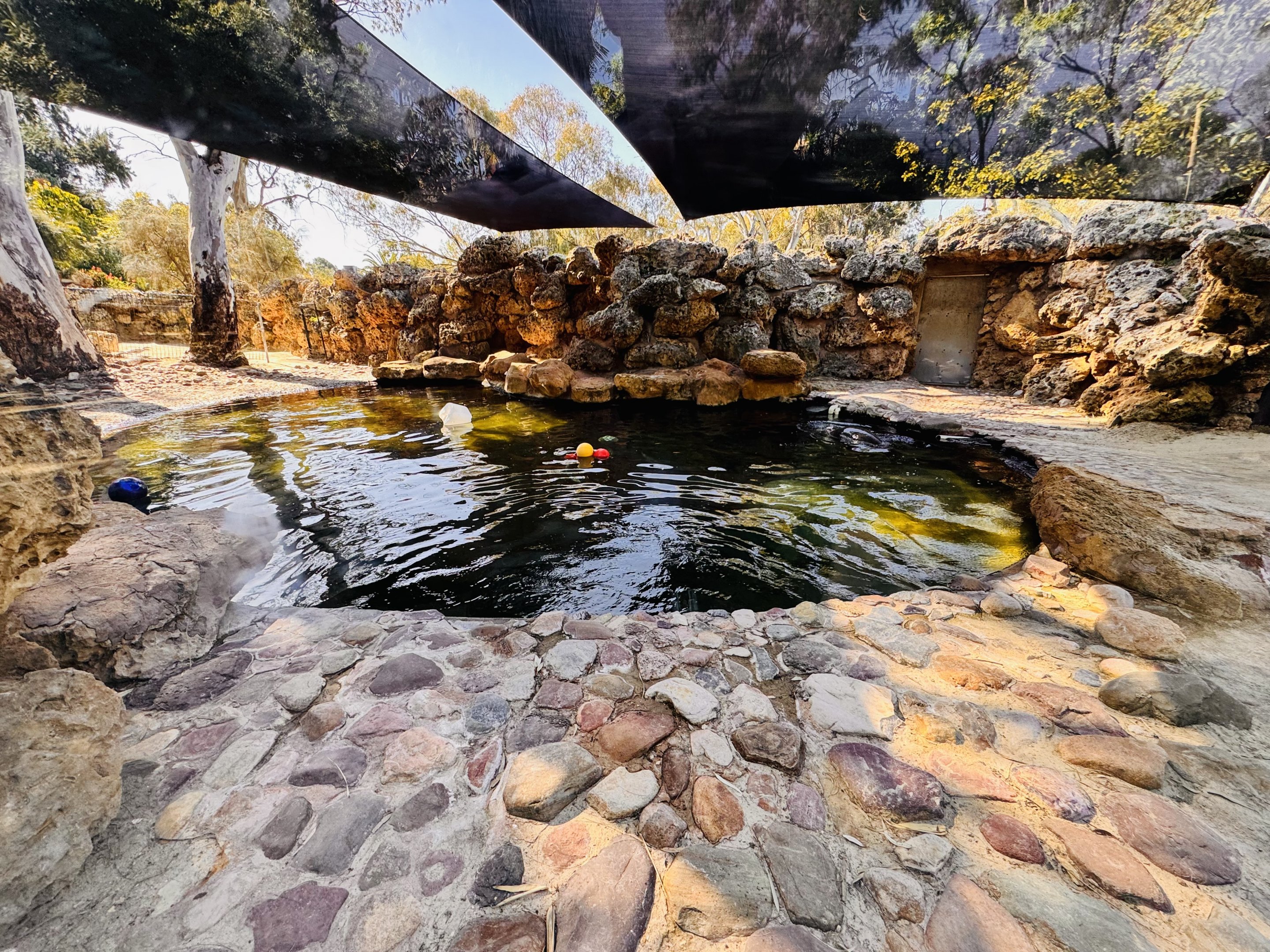 Australian sea lion enclosure