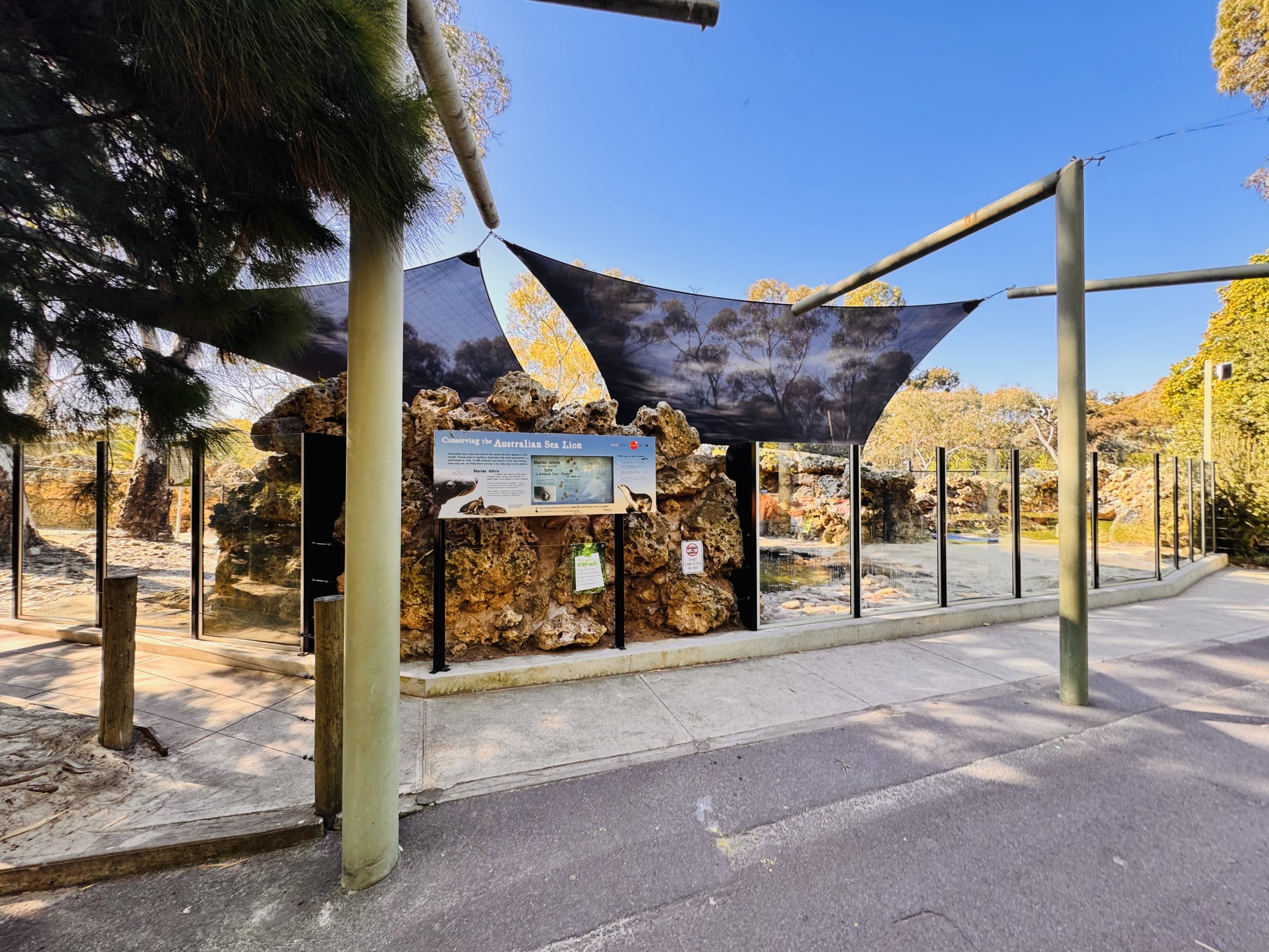 Australian sea lion enclosure