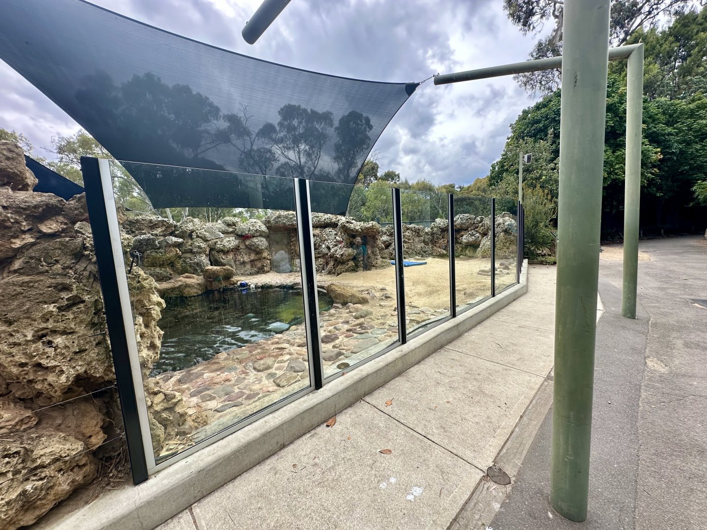 Australian Sea Lion Exhibit