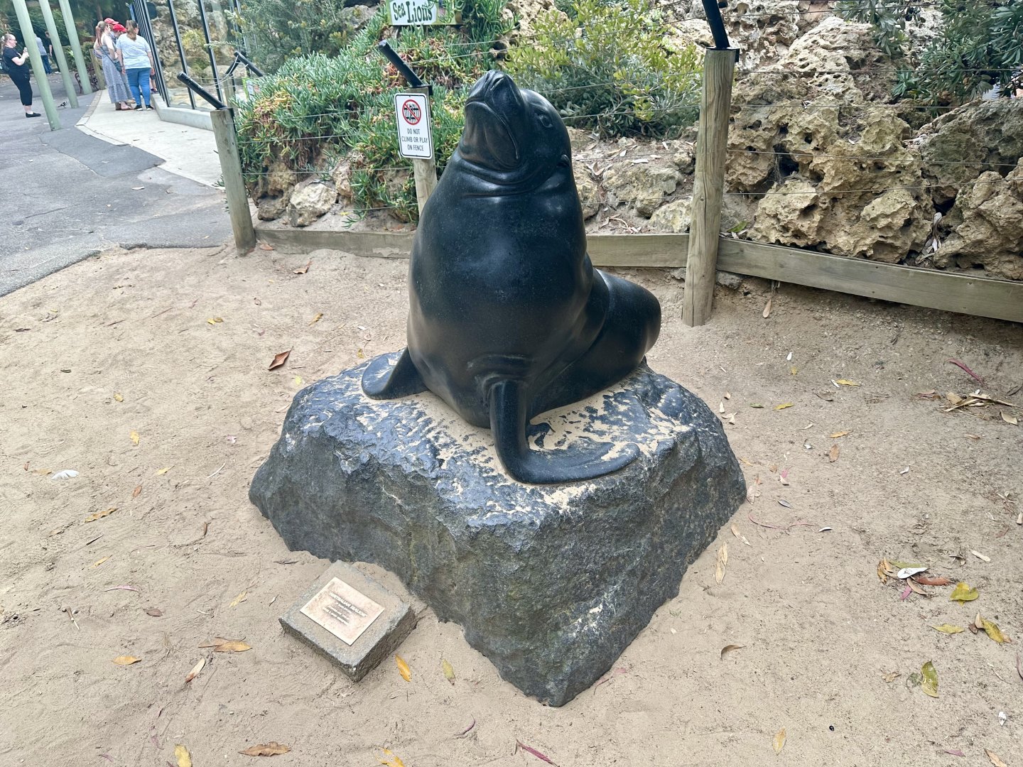 Australian Sea Lion Statue
