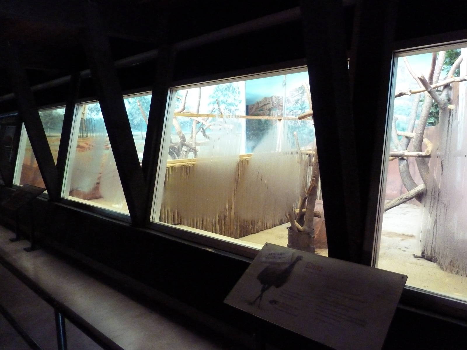 Australian Section -Indoor Kangaroo/Emu Holding Area