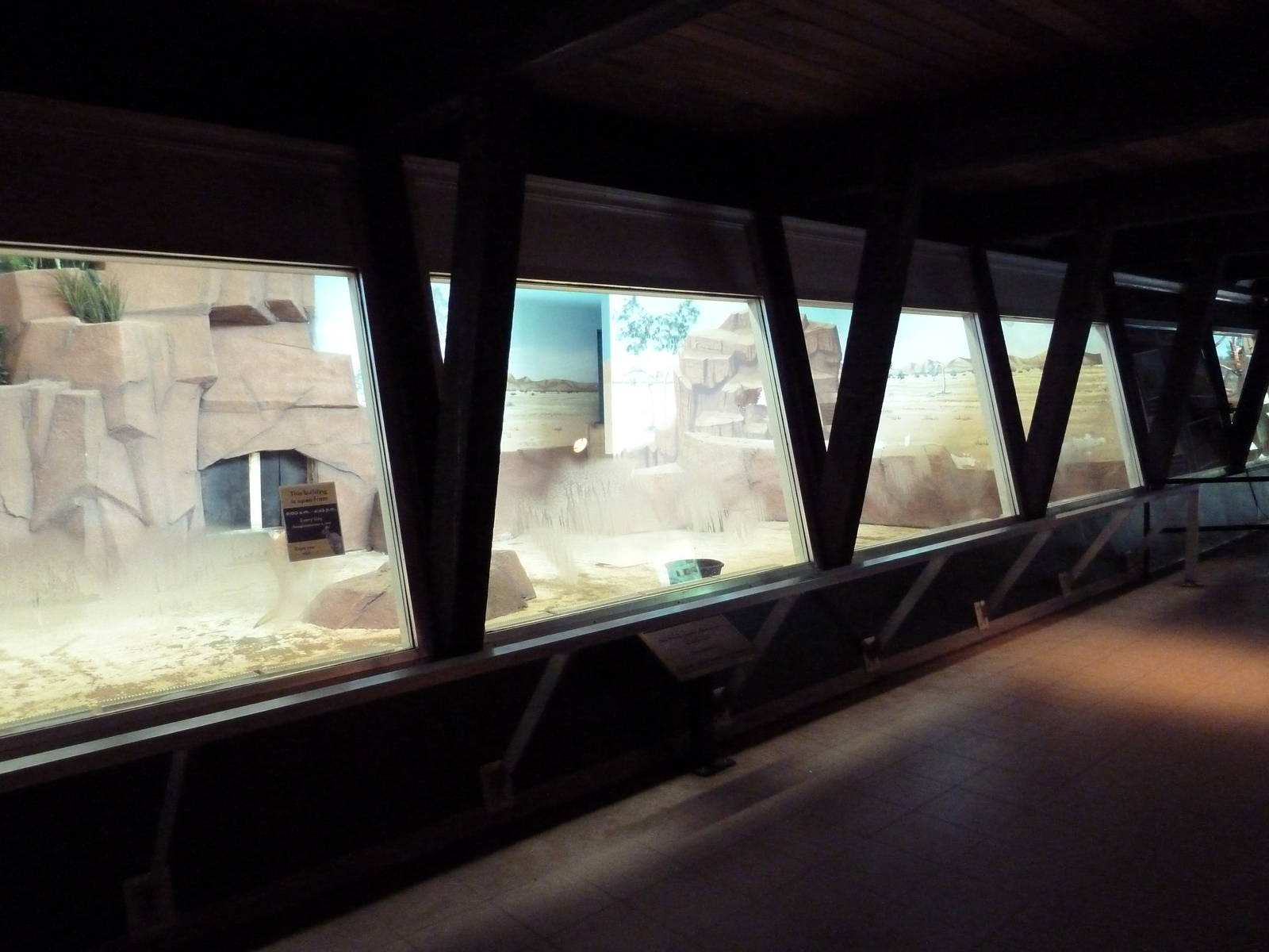 Australian Section -Indoor Kangaroo/Emu Holding Area