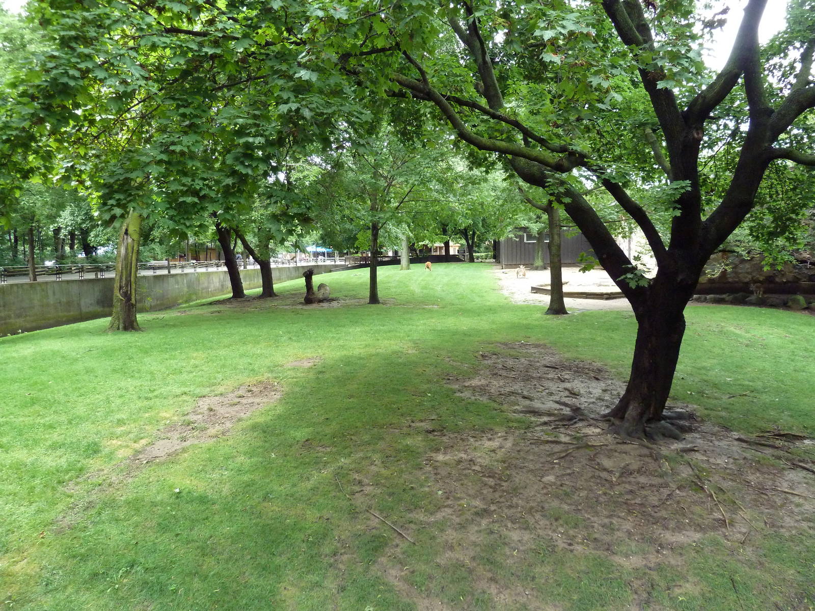 Australian Section - Kangaroo/Emu Yard