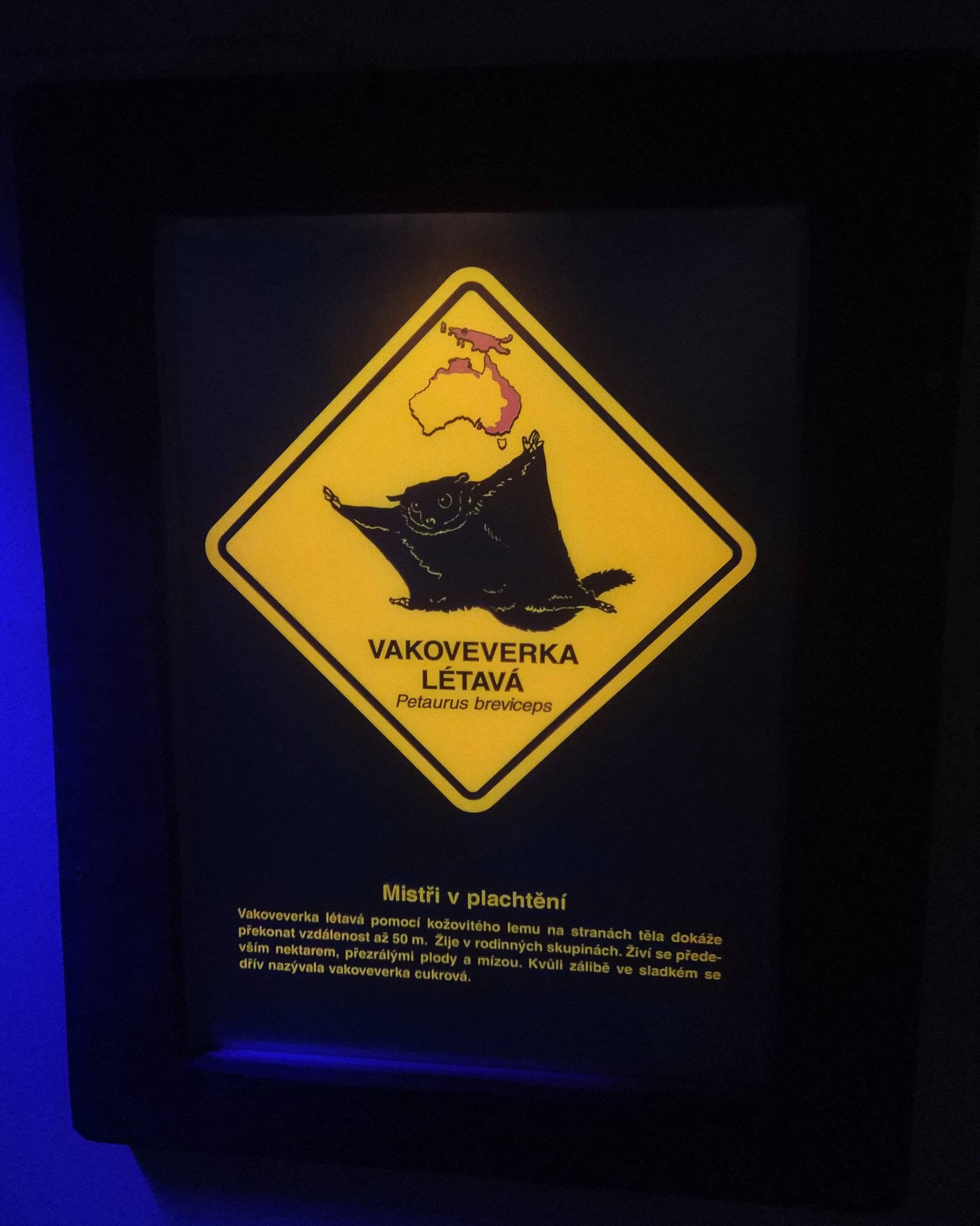 Australian Section Signage