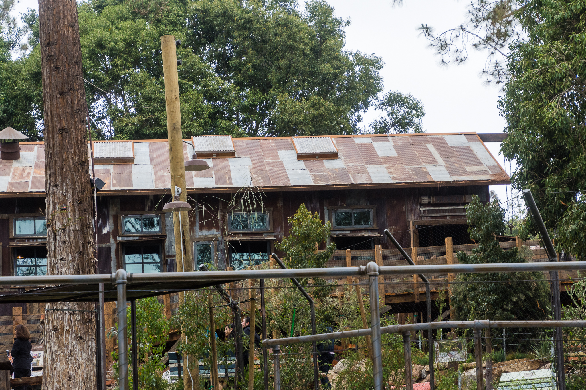 Australian sheep station