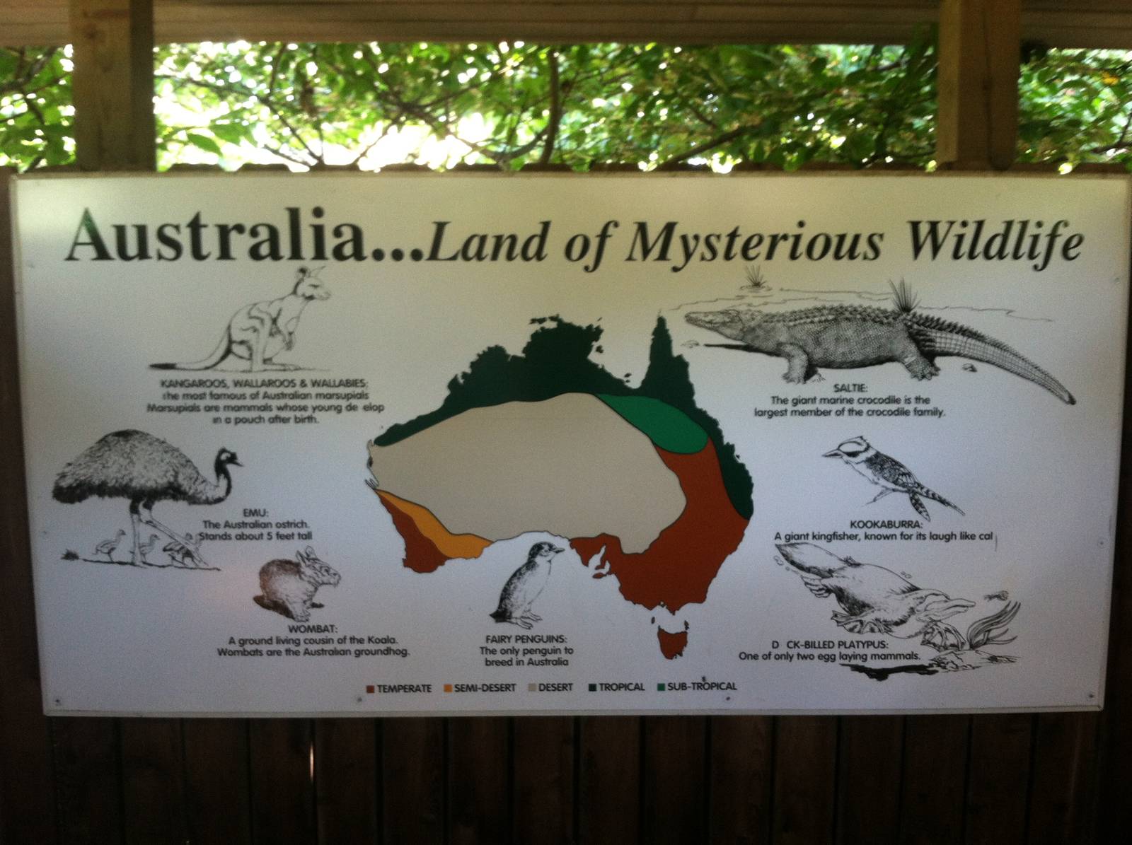 Australian Signage